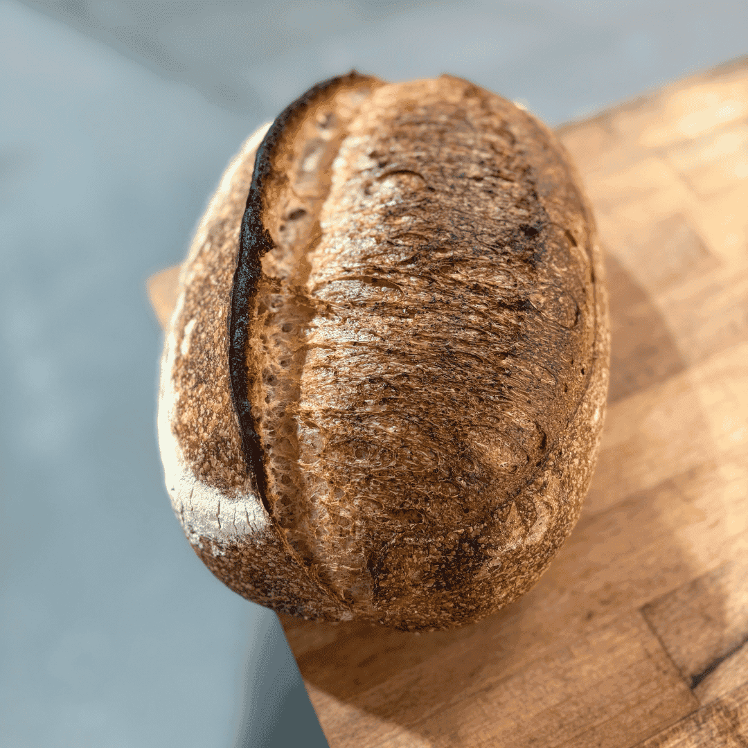 Country Sourdough