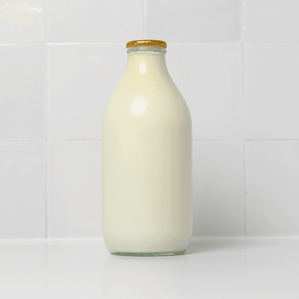 Jersey Milk