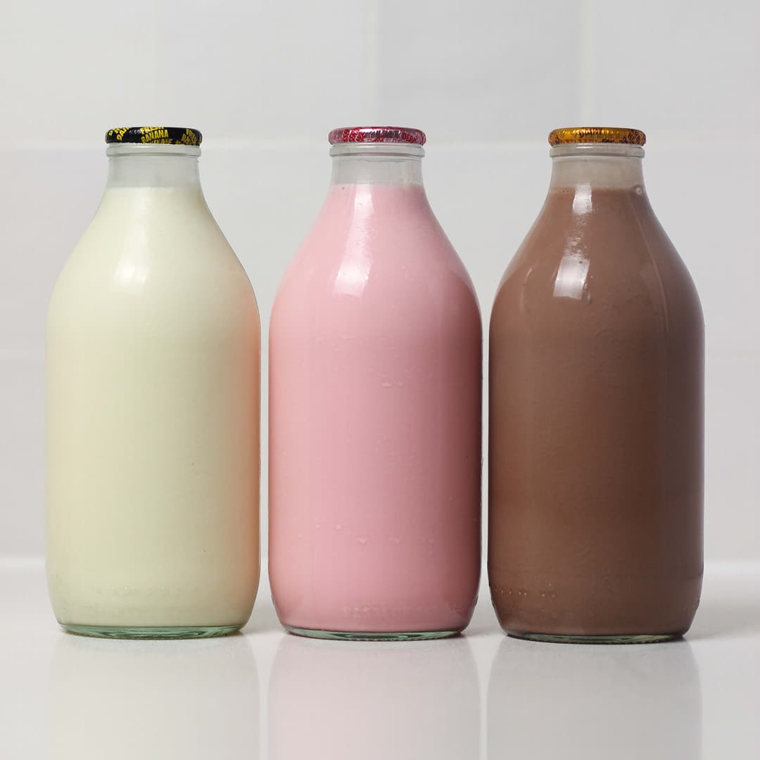 Milkshake Pack